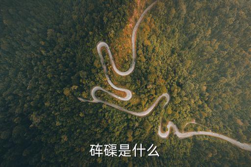 硨磲是什么