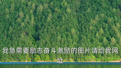 我急需要?jiǎng)?lì)志奮斗激勵(lì)的圖片請(qǐng)給我網(wǎng)址