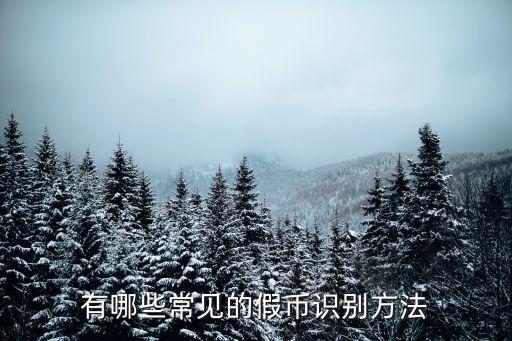 怎么識別假鈔，怎樣辨別假鈔