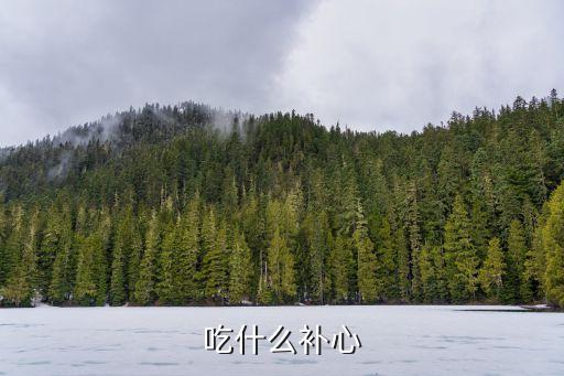 吃什么補心