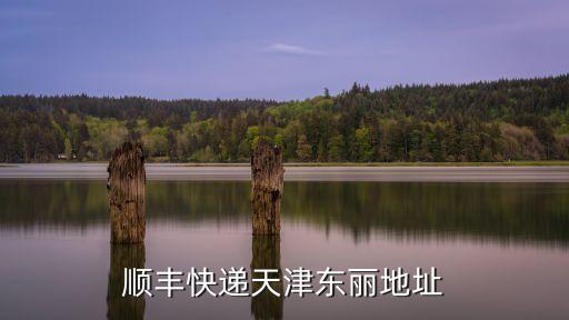 順豐快遞天津東麗地址