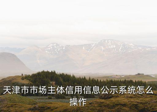 天津市市場主體公示系統網，怎么查詢公司經營范圍