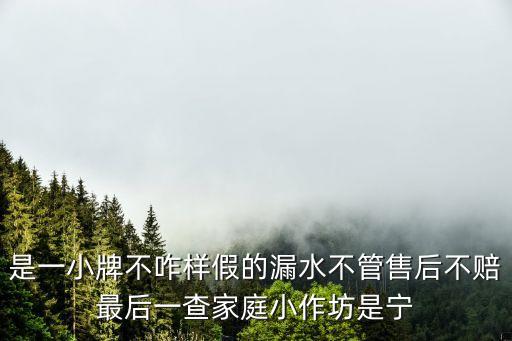 是一小牌不咋樣假的漏水不管售后不賠最后一查家庭小作坊是寧