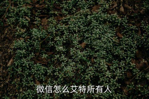 怎么艾特全體成員，微信怎么艾特所有人