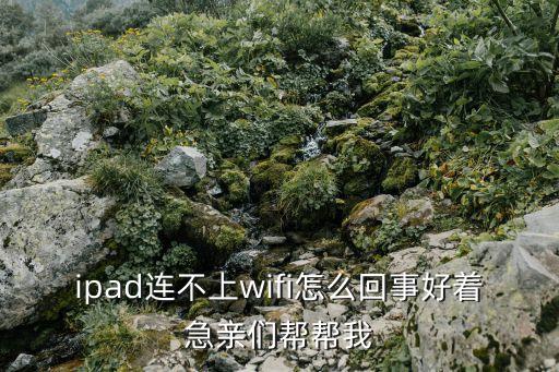 為什么ipad連不上wifi，為什么ipad連不上wifi