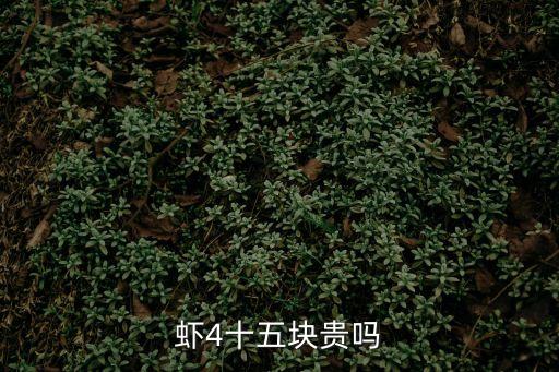 蝦4十五塊貴嗎