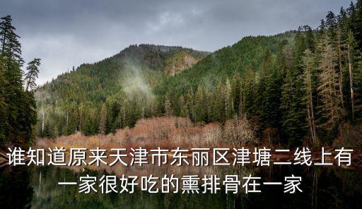 天津市東麗區(qū)劉一勺，天津市東麗區(qū)