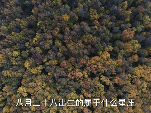 八月二十八出生的屬于什么星座