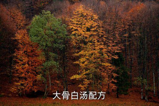 天津市宣城骨白湯，天津大骨湯哪有