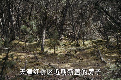天津紅橋區(qū)近期新蓋的房子