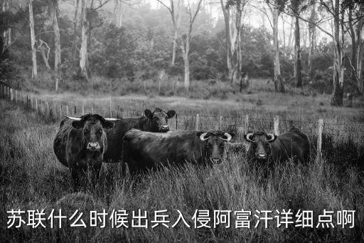 蘇軍入侵阿富汗，蘇聯什么時候出兵入侵阿富汗詳細點啊