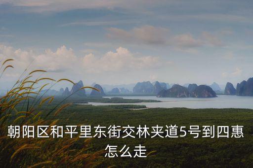 天津市和平區朝陽里五號，朝陽區和平里東街交林夾道5號到四惠怎么走