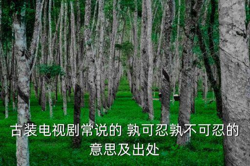 古裝電視劇常說的 孰可忍孰不可忍的意思及出處