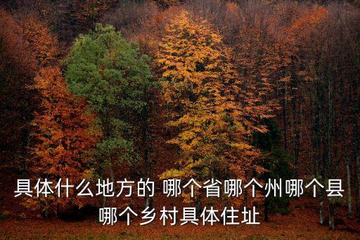 具體什么地方的 哪個省哪個州哪個縣哪個鄉村具體住址