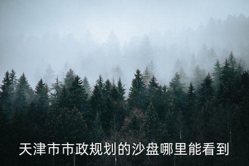 天津市全腦沙盤，天津市市政規(guī)劃的沙盤哪里能看到