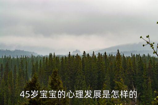 兒童心理發(fā)展五個(gè)階段，簡(jiǎn)述兒童心理發(fā)展的方向與順序