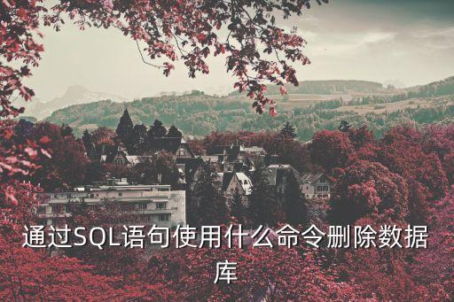 刪除數據庫命令，mysql清除數據庫命令