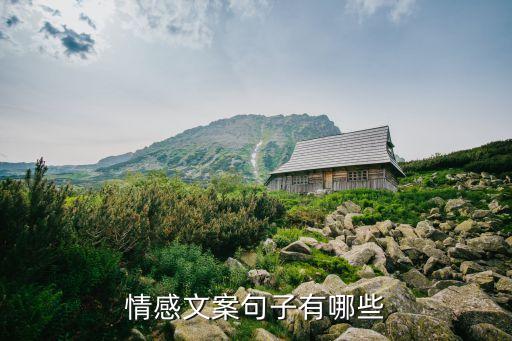 情感文案句子有哪些