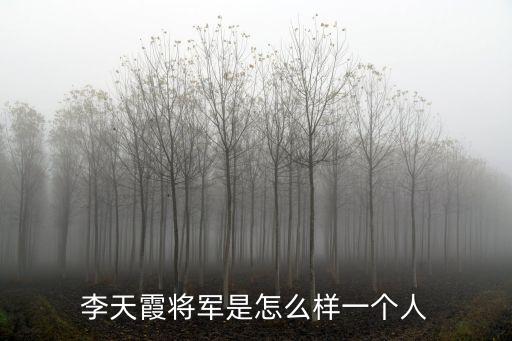 天津市寧河李天霞，天津市寧河縣十大杰出青年都有誰(shuí)