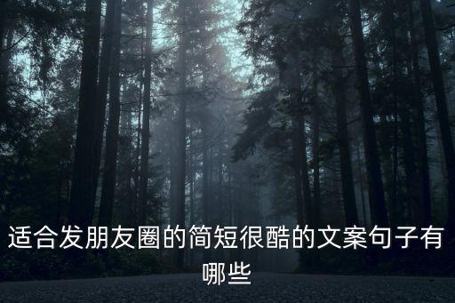 適合發朋友圈的簡短很酷的文案句子有哪些