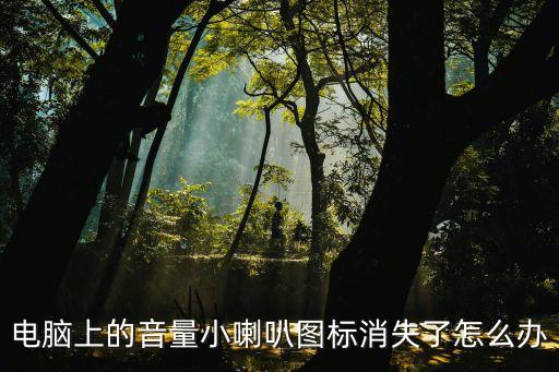 電腦上的音量小喇叭圖標消失了怎么辦