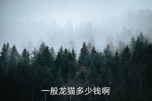 寵物龍貓多少錢，龍貓大約多少錢一只