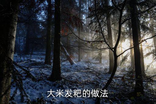 大米發(fā)粑的做法