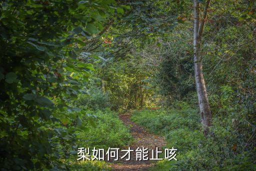 梨如何才能止咳