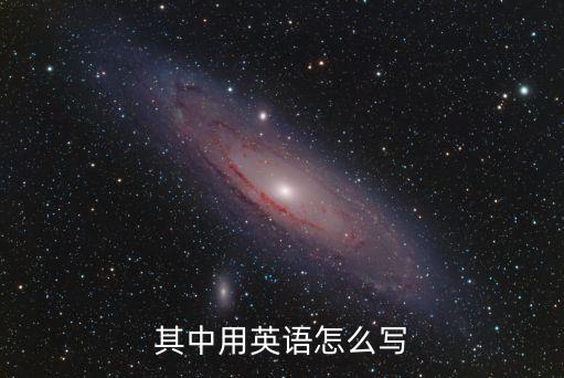 其中用英語怎么寫