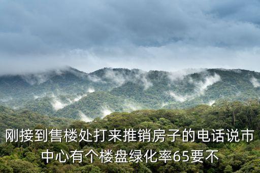 剛接到售樓處打來推銷房子的電話說市中心有個樓盤綠化率65要不