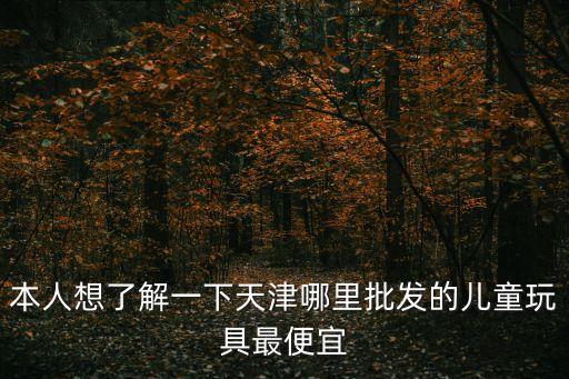 本人想了解一下天津哪里批發的兒童玩具最便宜