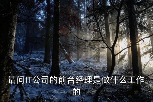 請問IT公司的前臺經理是做什么工作的