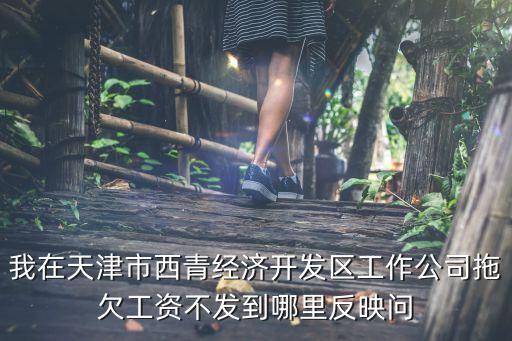 我在天津市西青經濟開發區工作公司拖欠工資不發到哪里反映問