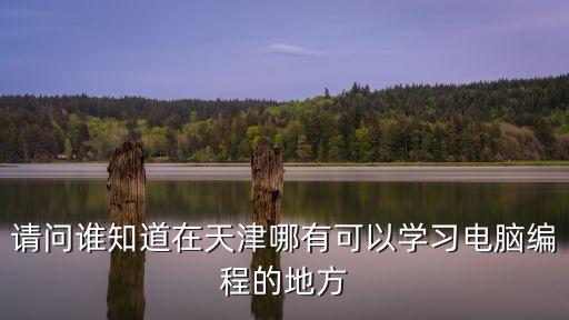 請問誰知道在天津哪有可以學習電腦編程的地方