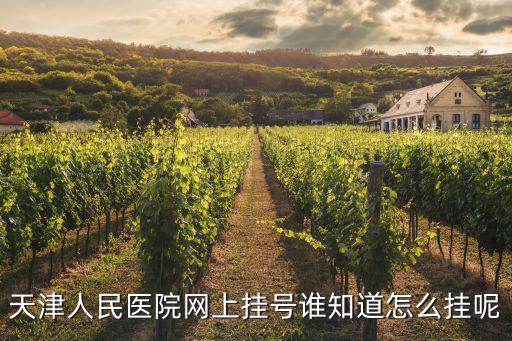 天津人民醫院網上掛號誰知道怎么掛呢