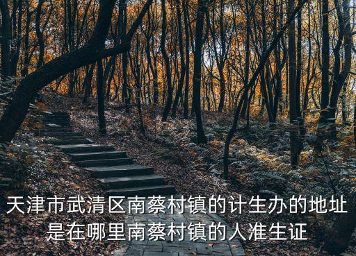 天津市武清區(qū)南蔡村鎮(zhèn)的計(jì)生辦的地址是在哪里南蔡村鎮(zhèn)的人準(zhǔn)生證