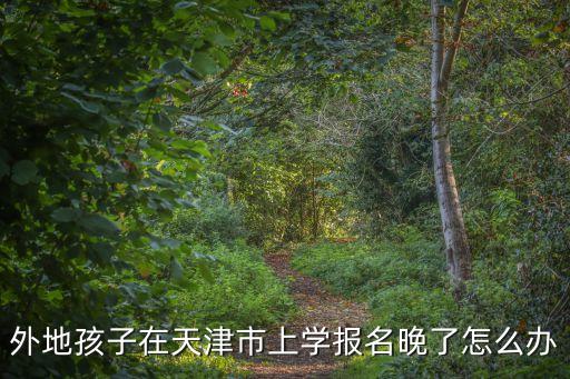 外地孩子在天津市上學報名晚了怎么辦