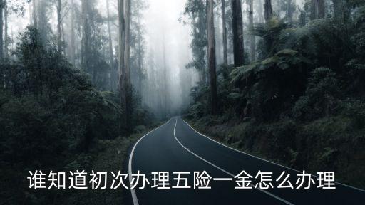 誰知道初次辦理五險一金怎么辦理