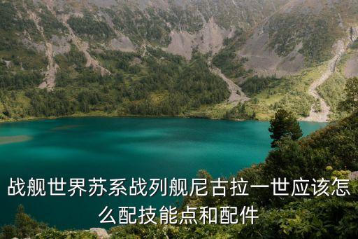 尼古拉一世，戰艦世界蘇系戰列艦尼古拉一世應該怎么配技能點和配件