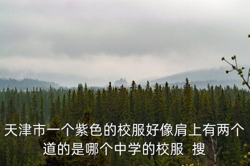 天津市一個紫色的校服好像肩上有兩個道的是哪個中學的校服  搜