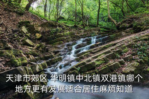 天津市華明鎮發展規劃，天津東麗區華明鎮是國家統一的新民居建設規劃鎮嗎