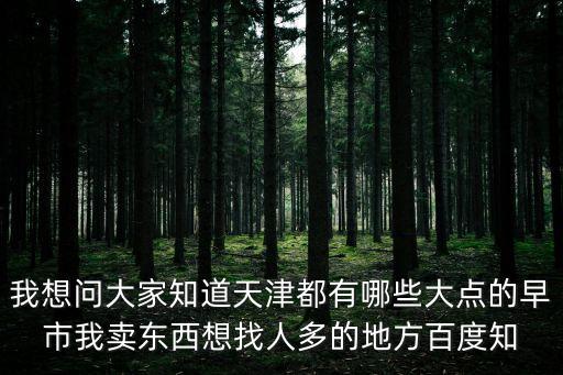 我想問大家知道天津都有哪些大點的早市我賣東西想找人多的地方百度知