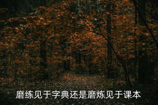 磨練見于字典還是磨煉見于課本