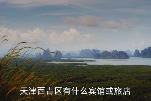 天津市西青區青沐國際，天津市西青區最好的洗浴