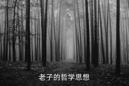 老子的哲學(xué)思想