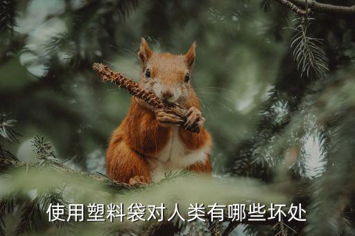使用塑料袋對人類有哪些壞處