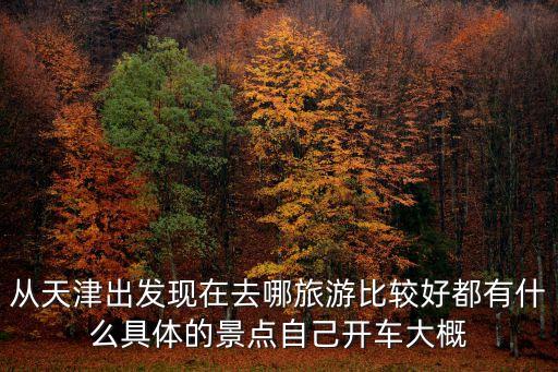從天津出發現在去哪旅游比較好都有什么具體的景點自己開車大概