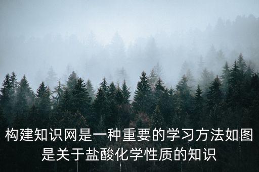 知識網絡，構建知識網是一種重要的學習方法如圖是關于鹽酸化學性質的知識