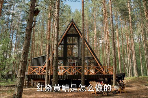 紅燒黃鱔是怎么做的