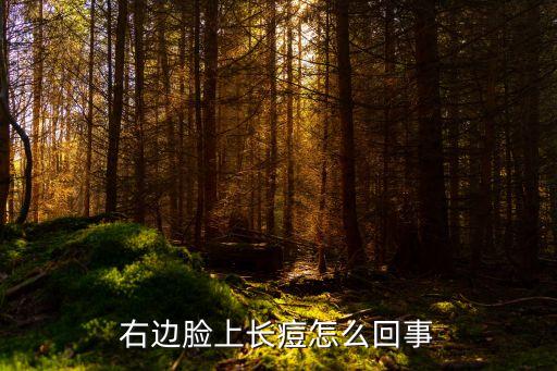 右邊臉上長痘怎么回事